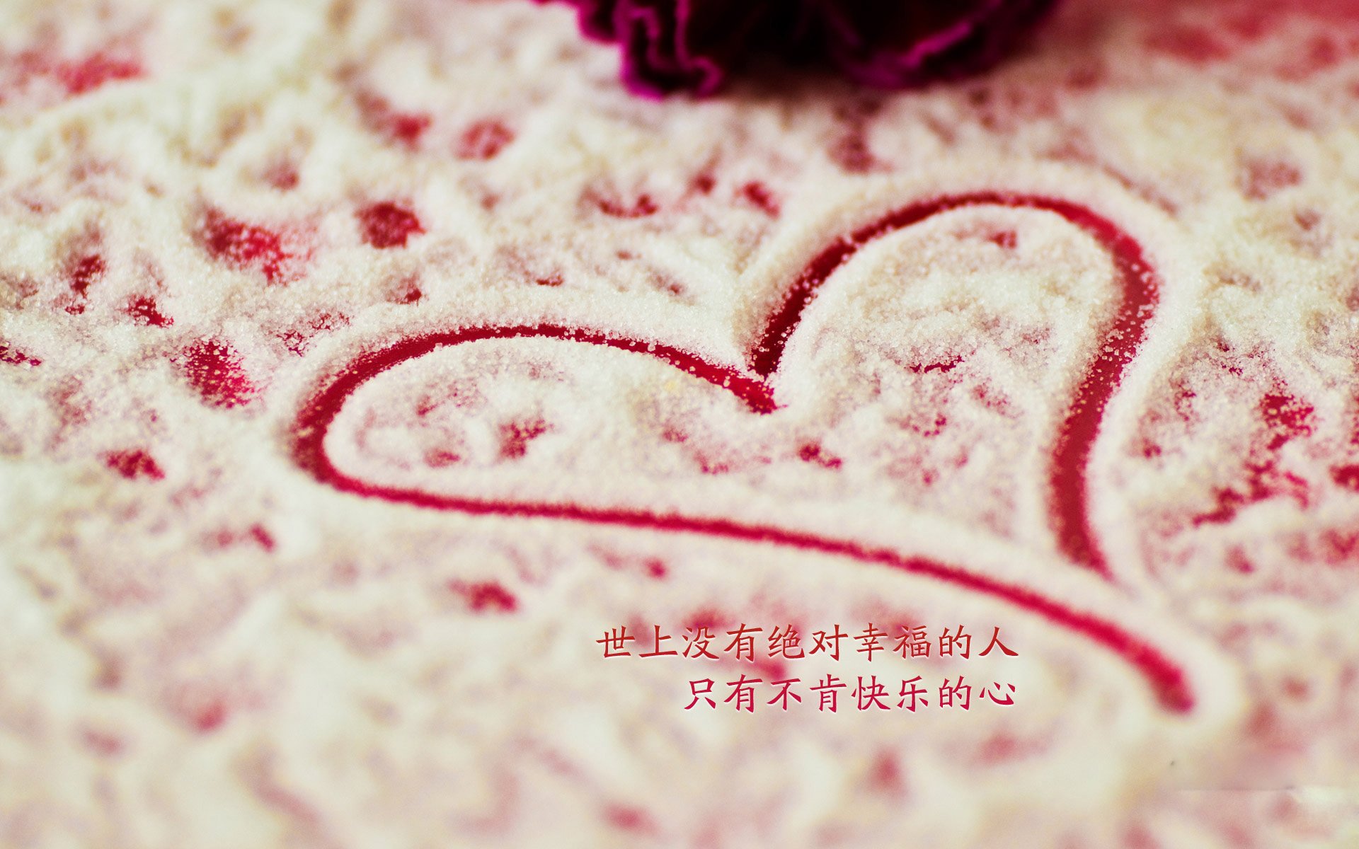 人工智能都学什么编程语言（人工智能编程是学的什么）